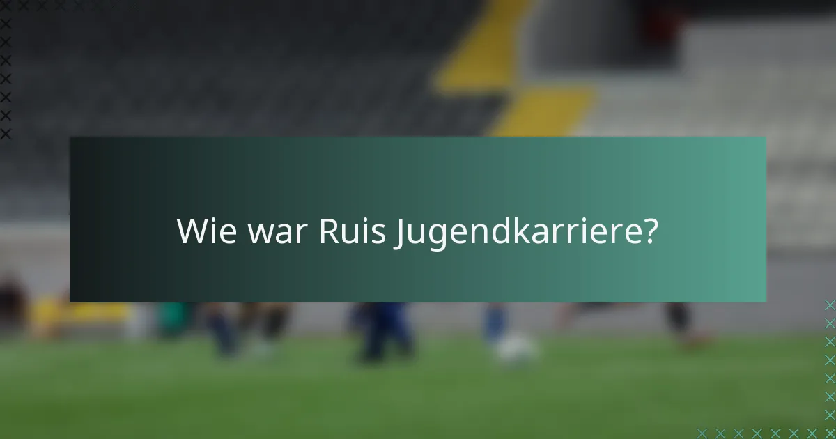 Wie war Ruis Jugendkarriere?